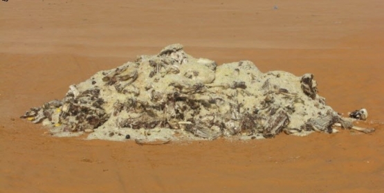 احترموا النعمة جزاكم الله خير