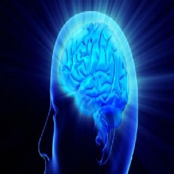 العقل يستجيب للرسائل سواءً ( إيجابية أو سلبية )