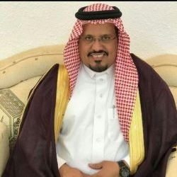 نجاح المهرجان..والمطالبات بتكراره