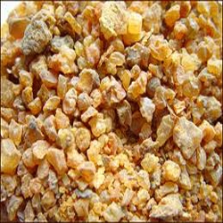 الكندر ، اللبان الذكر (oliban)