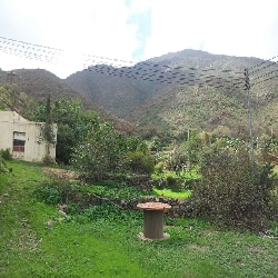 رحلة إلى قمة جبل سيلان