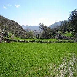 صور من ديار بني مالك الطائف