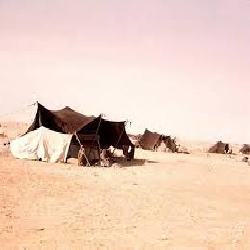 من قصص الباديه (نوت وعقاب العواجي )