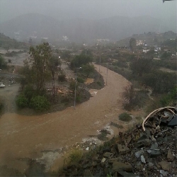 امطار الديره بتاريخ 12-3-1437هـ