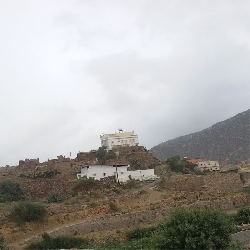 صور من ارض الجنوب