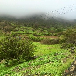 صور من وادي فرعه بني حرب (رائعه )