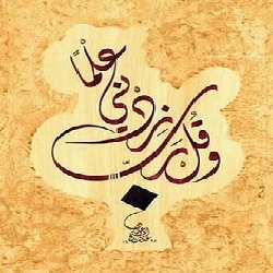 الصمود في زمن الركود العلمي