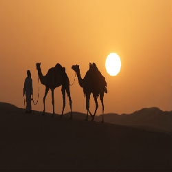 قصة المثل كلً يغني على ليلاه