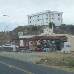 صور من ربوع الجنوب سقاه الله بالسيل