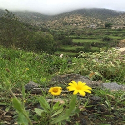 وادي الشضابيه بني مالك الطائف الطبيعه الساحره