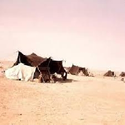 من قصص الباديه في الماضي