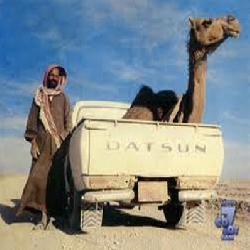 في حوض الددسن توديني