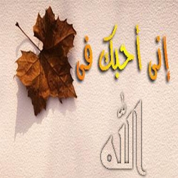 المتحابين في الله