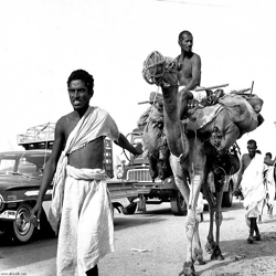 رحلة الحج قديماً